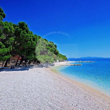Apartment Petra Baška Voda Dış mekan fotoğraf